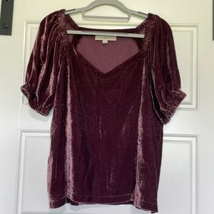Burgundy velvet LOFT tee with cinched arms and shoulders